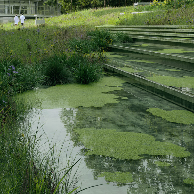 _2021_Jan Kinsbergen - Campus Sante - OC 04