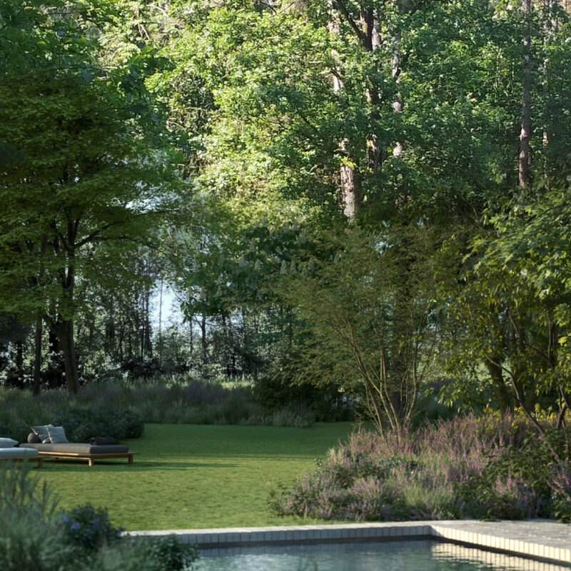 _2025_Dhont_YL_Etudes_01