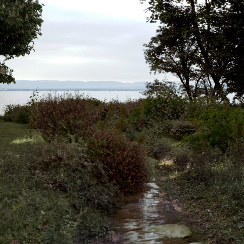 _2025_Dhont_YL_Etudes_03