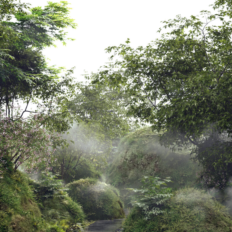 _2025_Dhont_YL_Etudes_05