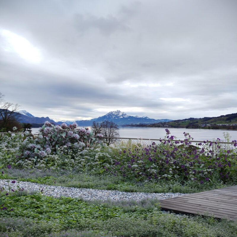 _2025_Dhont_YL_Villa Zurich_04